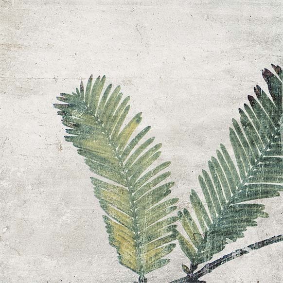 AMAZONIA_Tropic_Emerald-8