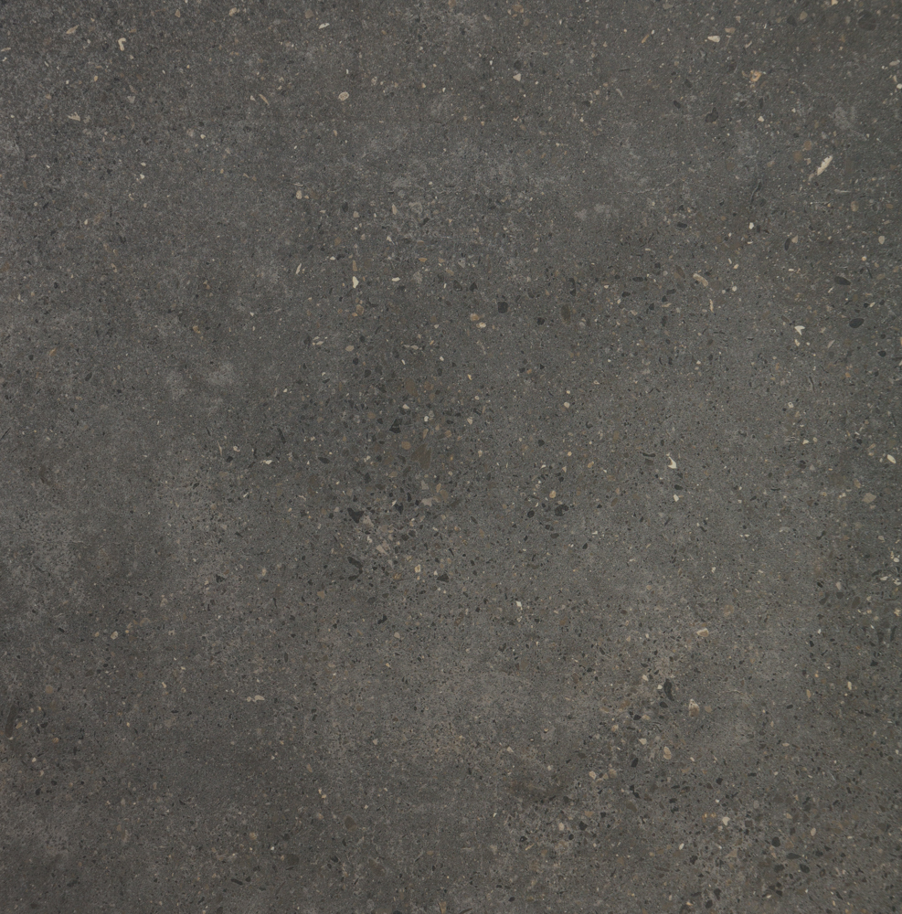 CHARCOAL-NANO-POLPOR-600X600-531132