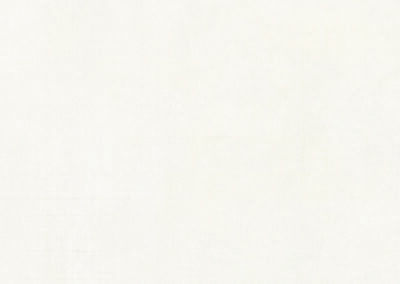 RG50015 everest light grey 600 x 1200 mm