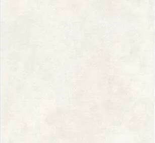 RG50016 everest bone stoneware 600 x 1200 mm