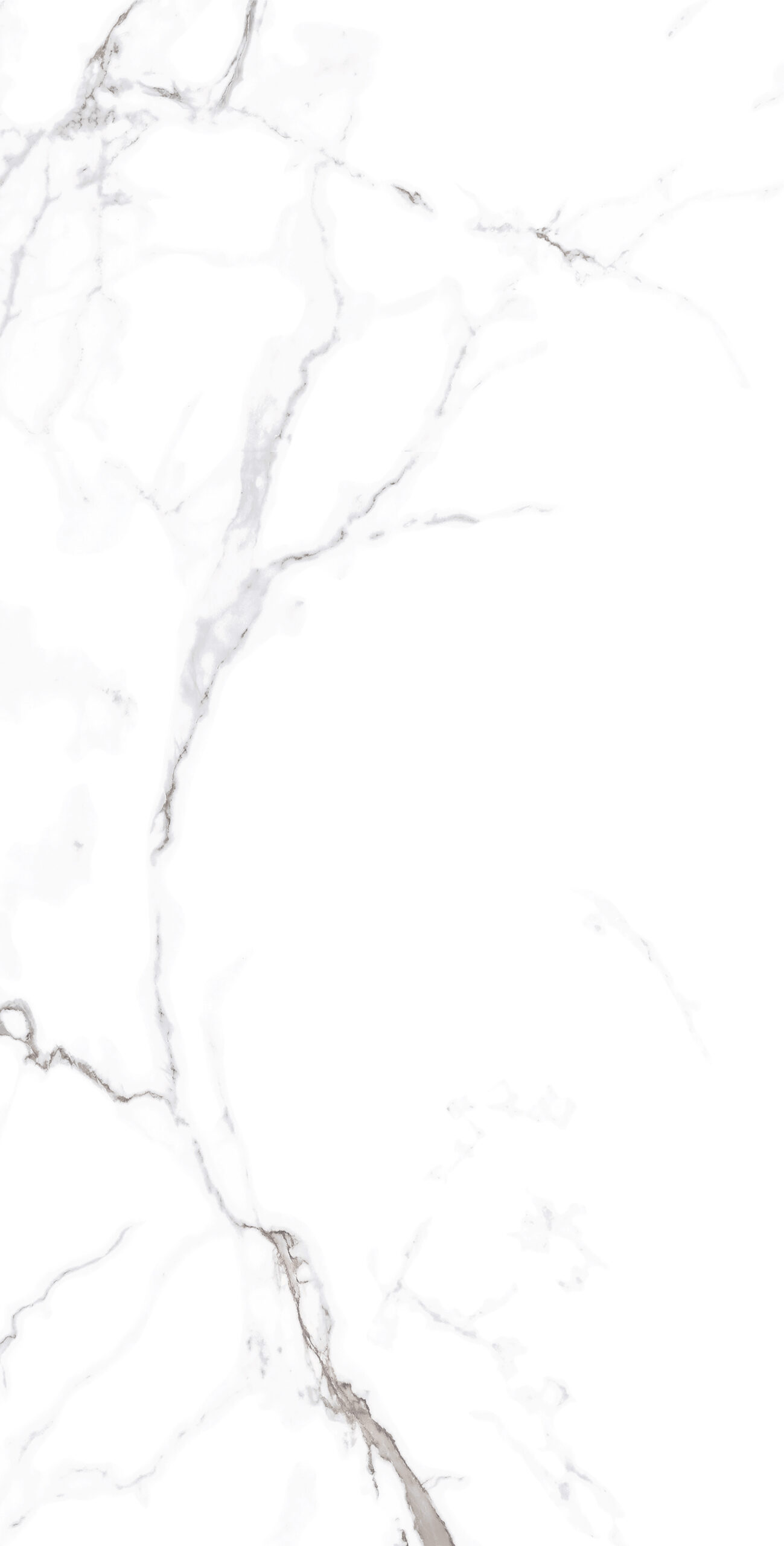 509070Statuario Altissimo