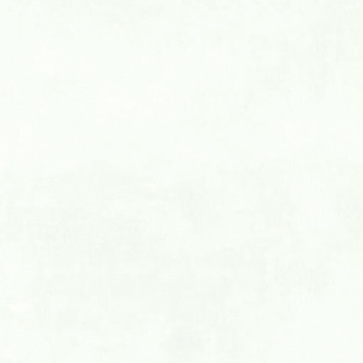 RVTT313 - SHELL BIANCO VALUE